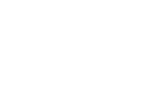 Diamond Willow logo white